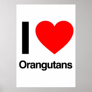 Pôster eu amo orangotango