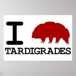 Pôster Eu amo Tardigrades