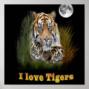 Poster Eu amo Tigers