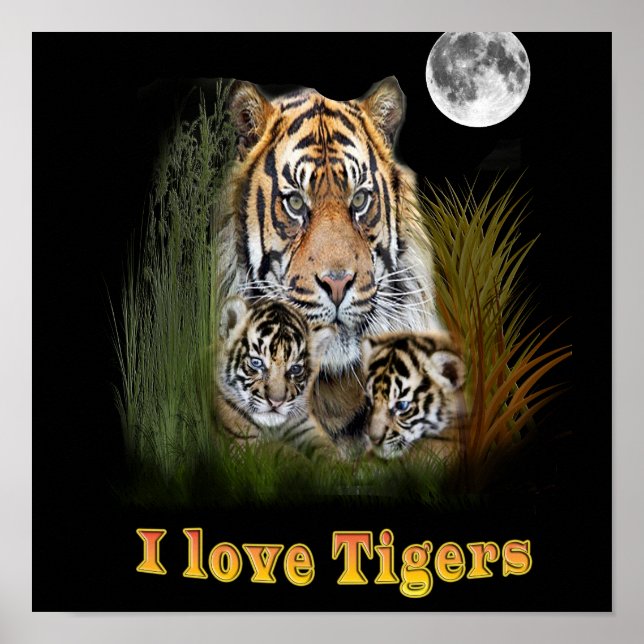Poster Eu amo Tigers (Frente)