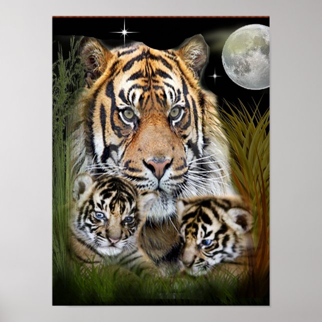 Poster Eu amo Tigers (Frente)