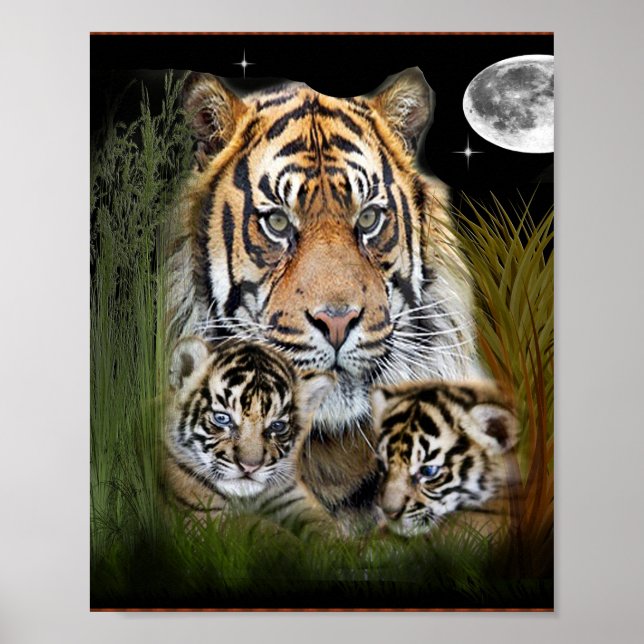 Poster Eu amo Tigers (Frente)