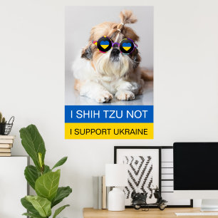 Poster Eu apoio a Ucrânia Eu Shih Tzu Não bandeira do cor