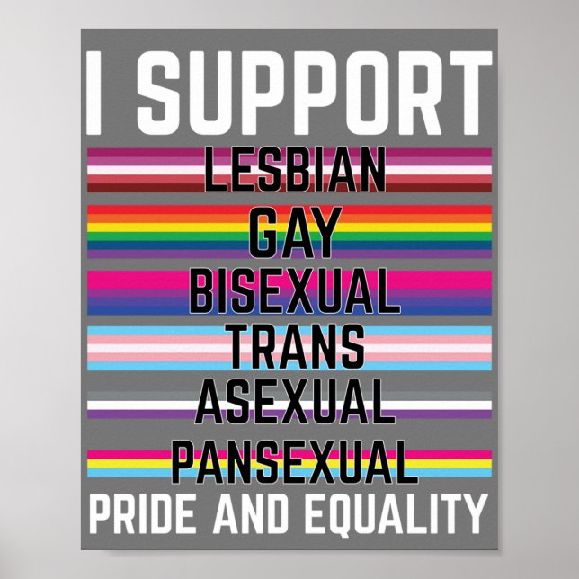 Poster Eu apoio o painel assexual trans bissexual e Gay d (Frente)
