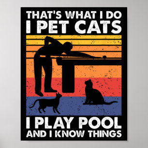 Poster Eu Coloquei Gatos E Eu Sei Coisas1