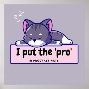 Poster Eu coloquei o "pro" em: banda desenhada de escrito