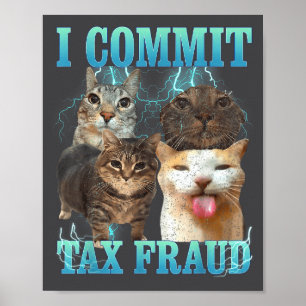 Poster Eu Cometo Fraude Fiscal Gato Engraçado Meme Bootle