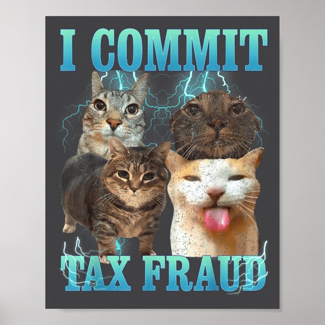Poster Eu Cometo Fraude Fiscal Gato Engraçado Meme Bootle (Frente)