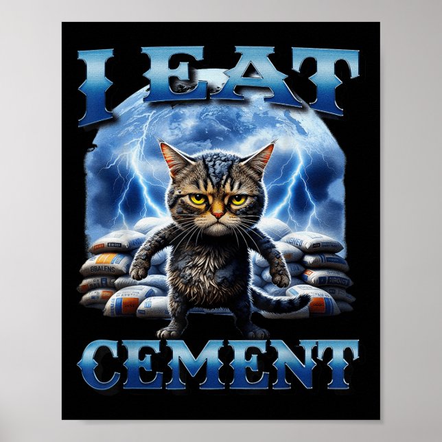 Poster Eu Comi Cimento Amaldiçoado Gato Engraçado Memória (Frente)