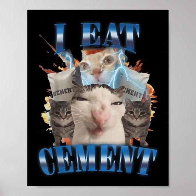 Poster Eu Comi Cimento Amaldiçoado Que Gato Engraçado Que (Frente)