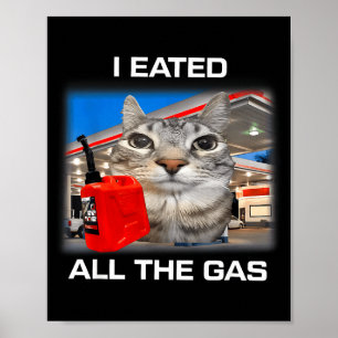 Poster Eu Comi Todo O Gás Gato Bobo Olhando Meme Engraçad