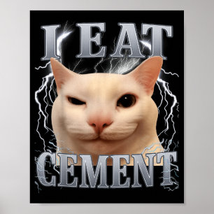 Poster Eu Como Cimento Silly Cat Meme Engraçado Homens Mu