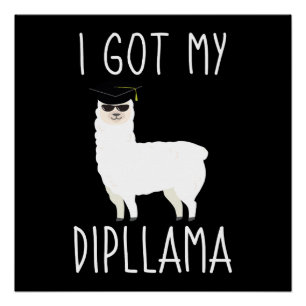 Pôster Eu Consegui Meu Dipllama Piada Engraçada de Gradua