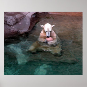 Pôster Eu e a minha bola