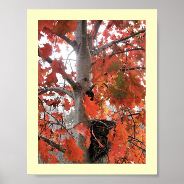 Pôster Eu espio... (Frente)