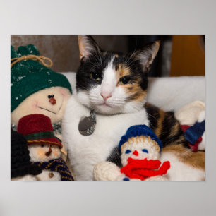 Poster Eu Espio Um Calico