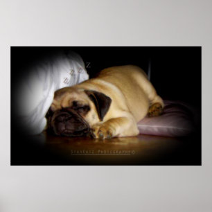 Pôster 'Eu exulto no amor que eu encontro Everyday