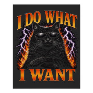 Pôster Eu Faço O Que Quero Gato Preto Rebelde Legal