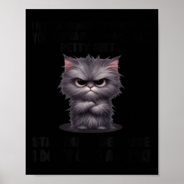 Poster Eu Gato Recuso Beijar Qualquer Um Quer (Frente)