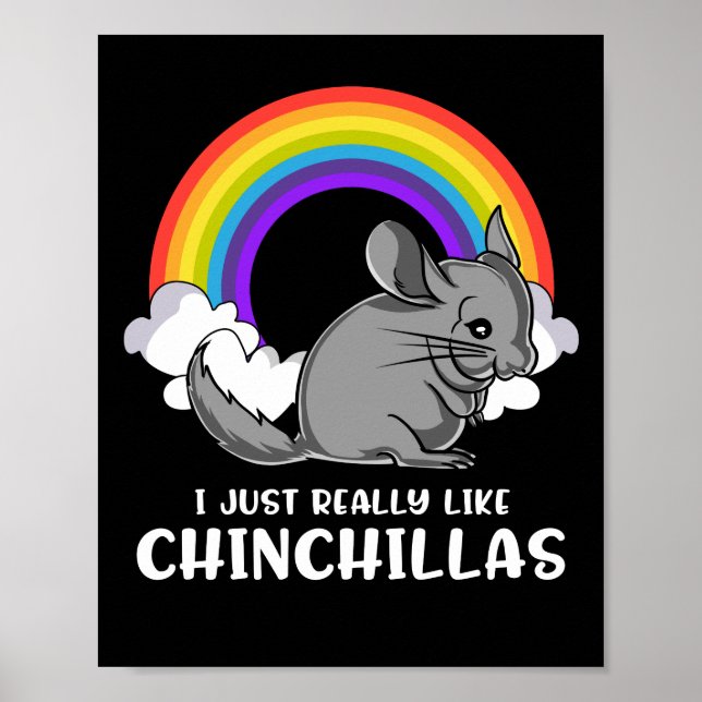 Poster Eu Gosto Muito De Chinchillas Pet Bonito (Frente)