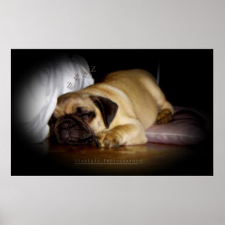 Pôster "Eu Me Congratulo Com O Amor Que Eu Encontro Todos