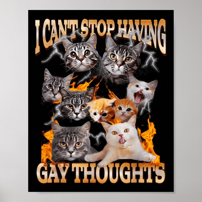 Poster Eu não consigo parar de ter pensamentos gays Meme  (Frente)