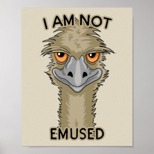 Poster Eu Não Sou Embutido Engraçado Emu Pun   Cerco