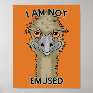 Poster Eu Não Sou Embutido Engraçado Emu Pun Laranja