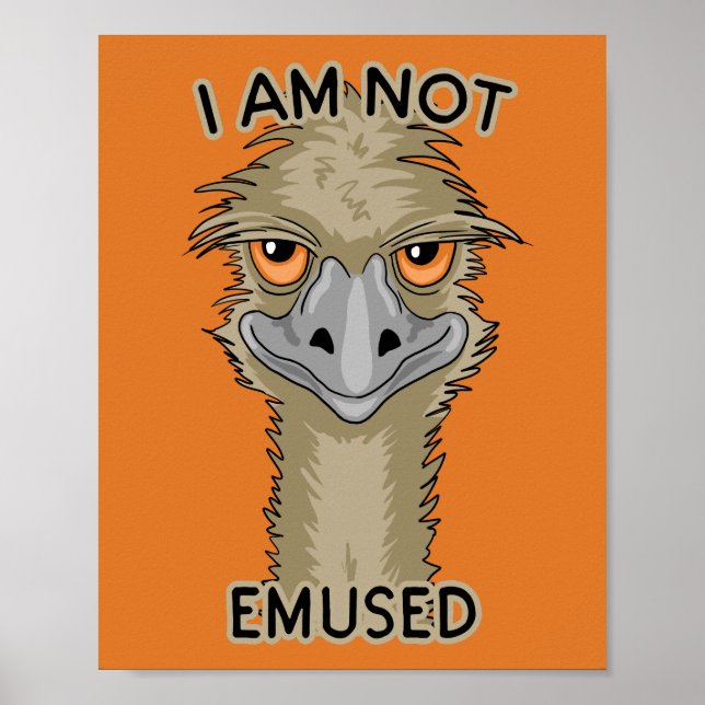 Poster Eu Não Sou Embutido Engraçado Emu Pun | Laranja (Frente)