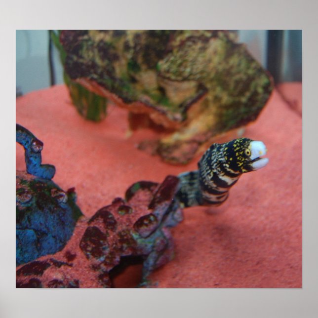 Pôster Eu não sou mesquinho! (Frente)