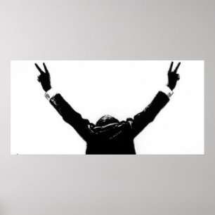 Poster Eu não sou uma louca por Richard M. Nixon