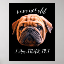 POSTER EU NÃO SOU VELHO
