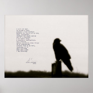 Poster "eu não vou esperar"