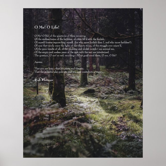 Poster Eu! Oh Life! Walt Whitman Poem Wooded Path 3 (Frente)