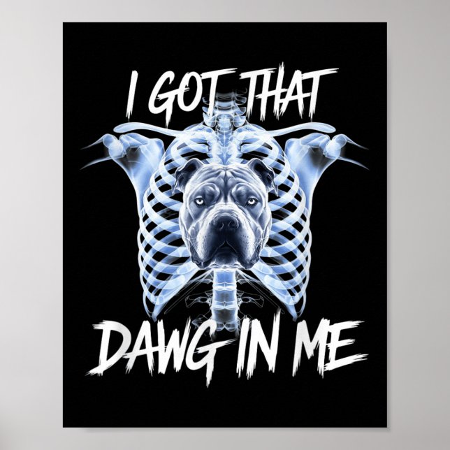 Poster Eu Peguei Esse Dawg Em Mim Xray Pitbull Meme Irôni (Frente)