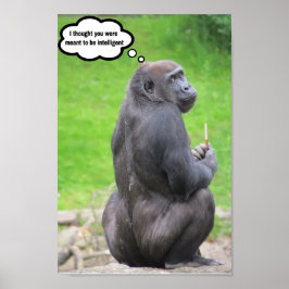 Poster Eu pensei que você era para ser inteligente.