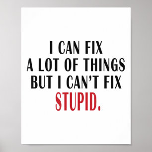 Poster Eu posso consertar muitas coisas, mas não consigo 