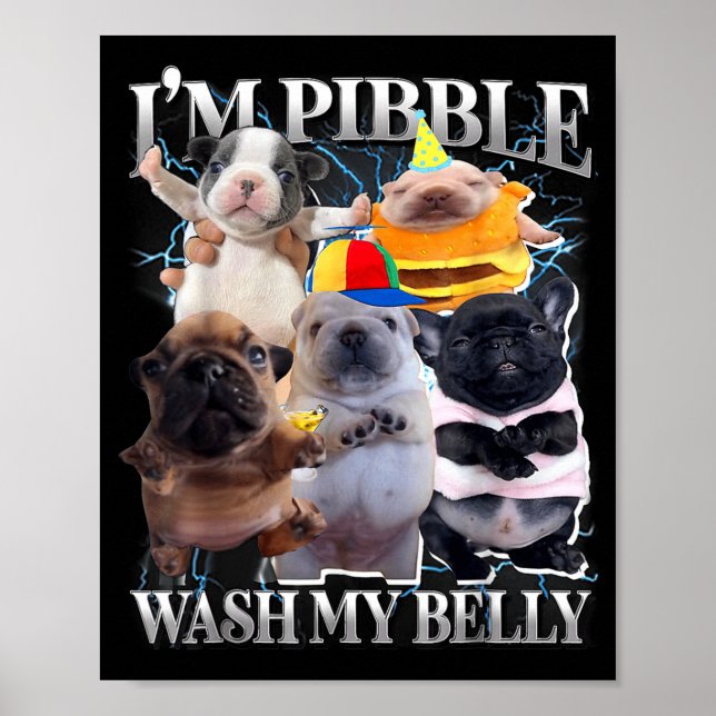 Poster Eu Posso Lavar Minha Barriga Cachorro Engraçado Li (Frente)