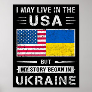 Poster Eu posso viver nos EUA, mas minha história começou
