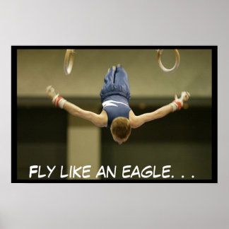 Poster Eu posso voar