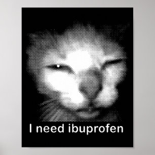 Poster Eu Preciso de Ibuprofeno Gato Meme Engraçado Gato