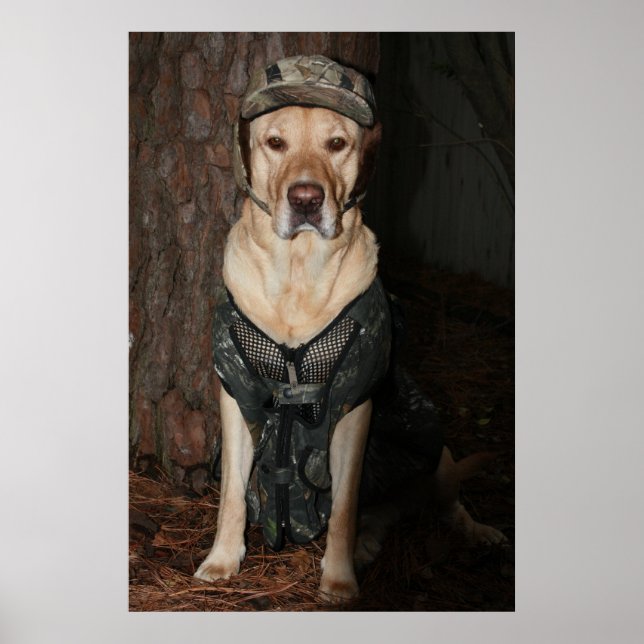 Pôster Eu Preferencialmente caçando (Frente)