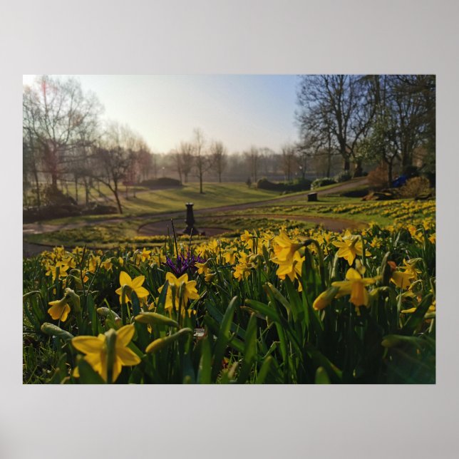 Poster Eu queria solitário como nuvem de William Wordswor (Frente)