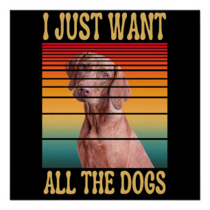 PÔSTER EU QUERO TODOS OS CÃES