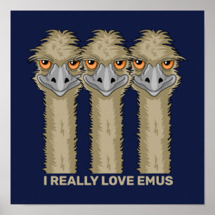 Poster Eu Realmente Amo Emus