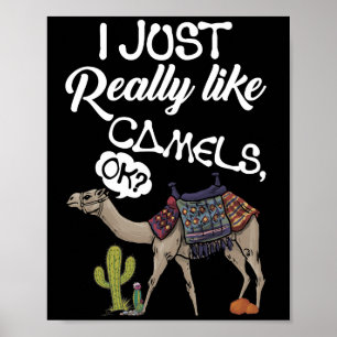 Poster Eu Só Gosto Muito De Camelos OK Camel