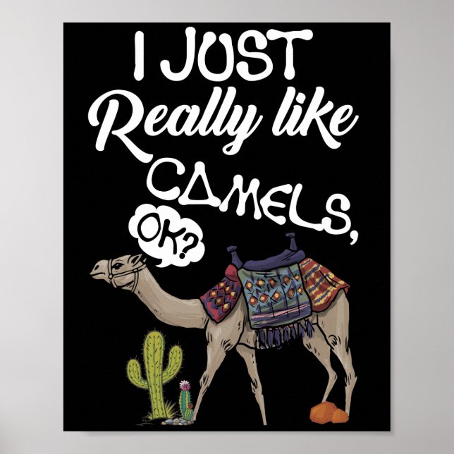 Poster Eu Só Gosto Muito De Camelos OK Camel (Frente)