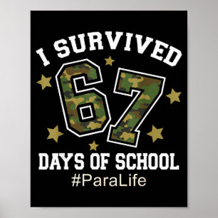 Poster Eu Sobrevivi 67 Dias De Camuflagem Escolar 6 7 Mem