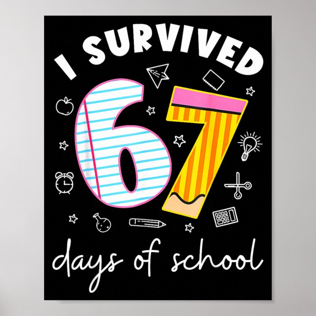 Poster Eu Sobrevivi 67 Dias De Escola Meme Engraçado Prof (Frente)