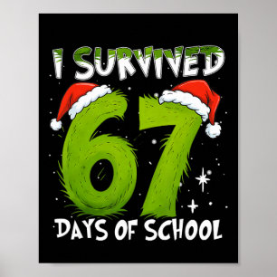 Poster Eu Sobrevivi 67 Dias De Natal De Balas De Cana De 